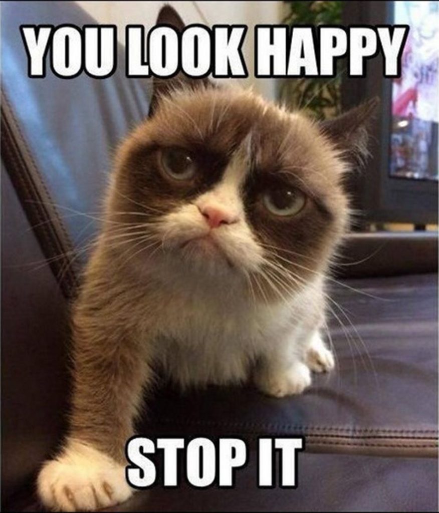 grumpy cat memes	