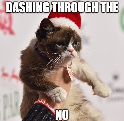 grumpy cat funny cat memes