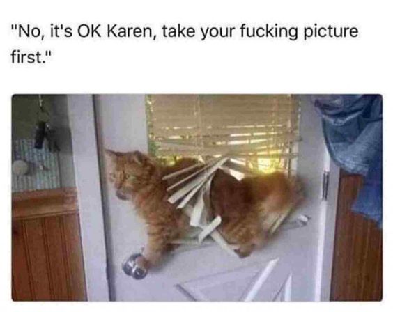 Karen, You and Those Cat Memes 