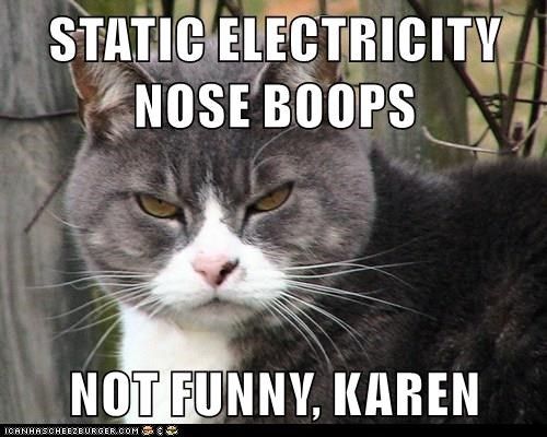 karen and cat memes