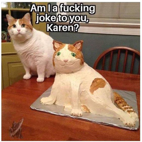 karen cat memes