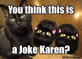 karen cat jokes