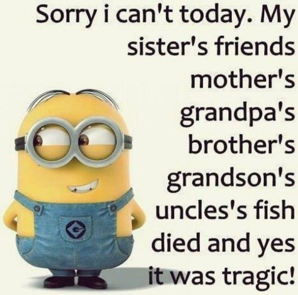 funny minion memes