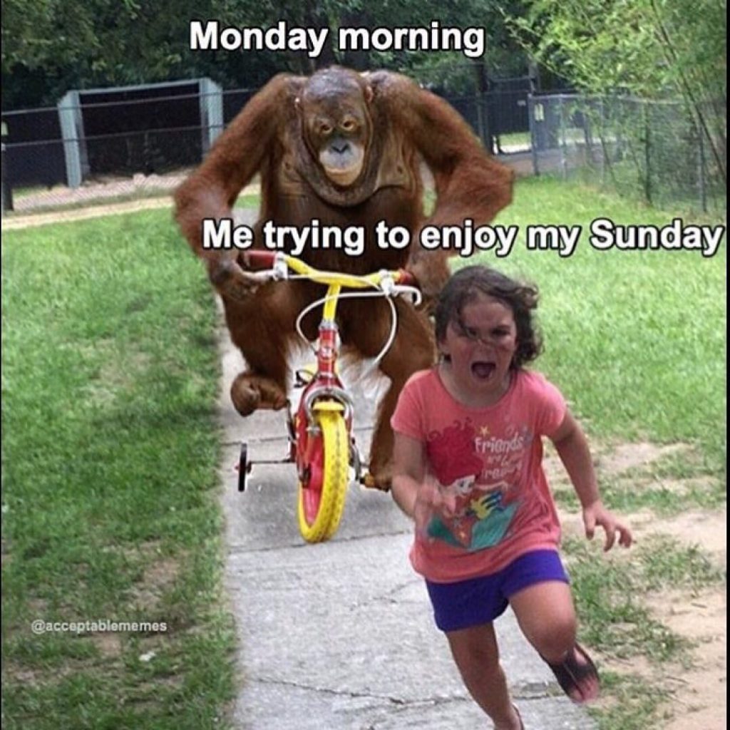 monday trying to run down sunday 