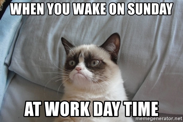 angry cat sunday work memes 