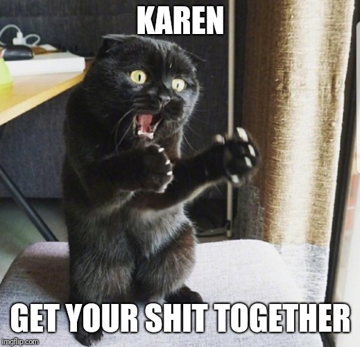 karen and cat jokes