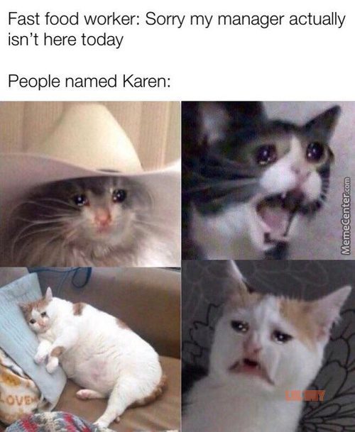 karen cat