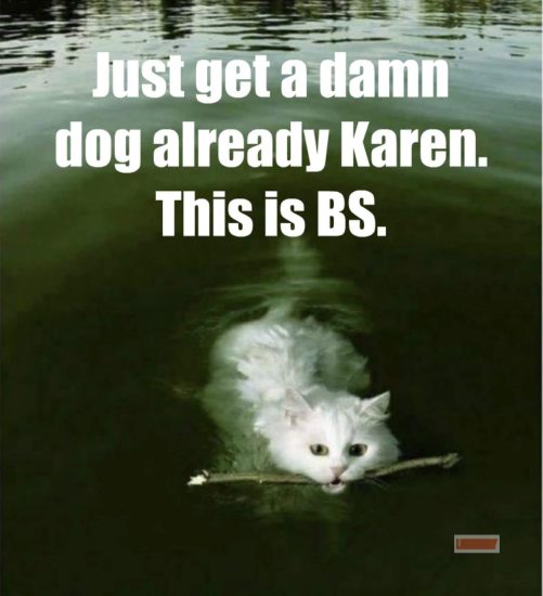 karen cat jokes