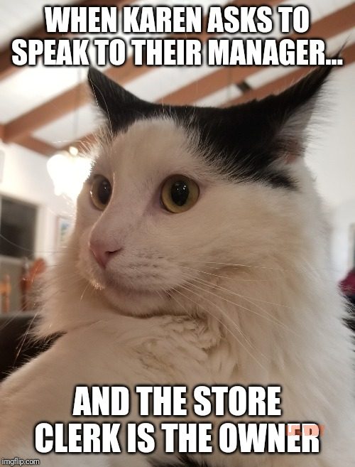 why karen in cat memes