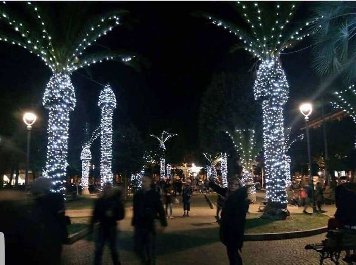 funny christmas decorations ideas	