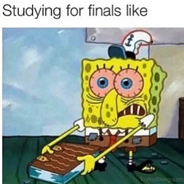 Relatable Studying  Fail SpongeBob memes