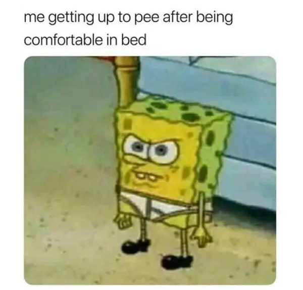 Spongebob Memes Funny