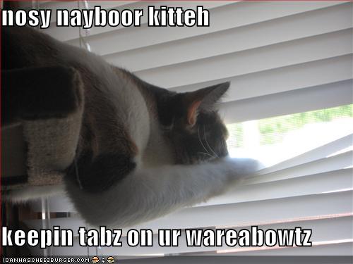 Funny Nosey Neighbors Meme 18