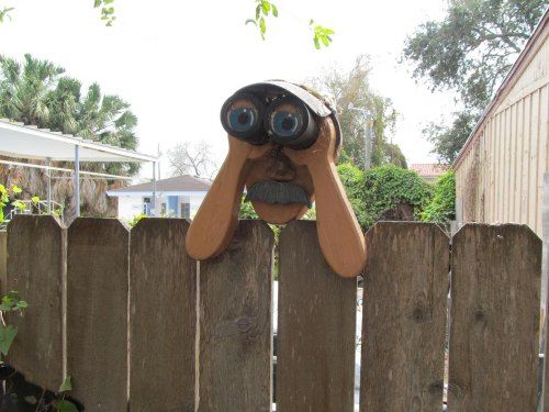 Funny Nosey Neighbors Meme 7