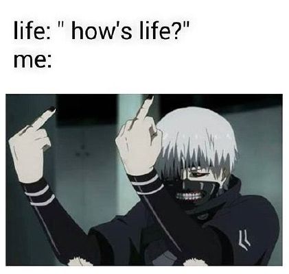 funny anime memes life 