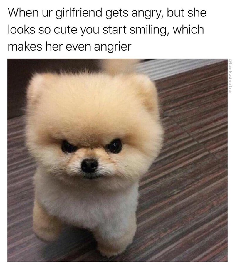 funny meme about when your girlfriend looks cute when shes angry