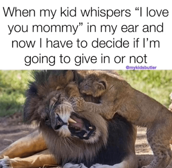 Parenting Memes Instagram 15