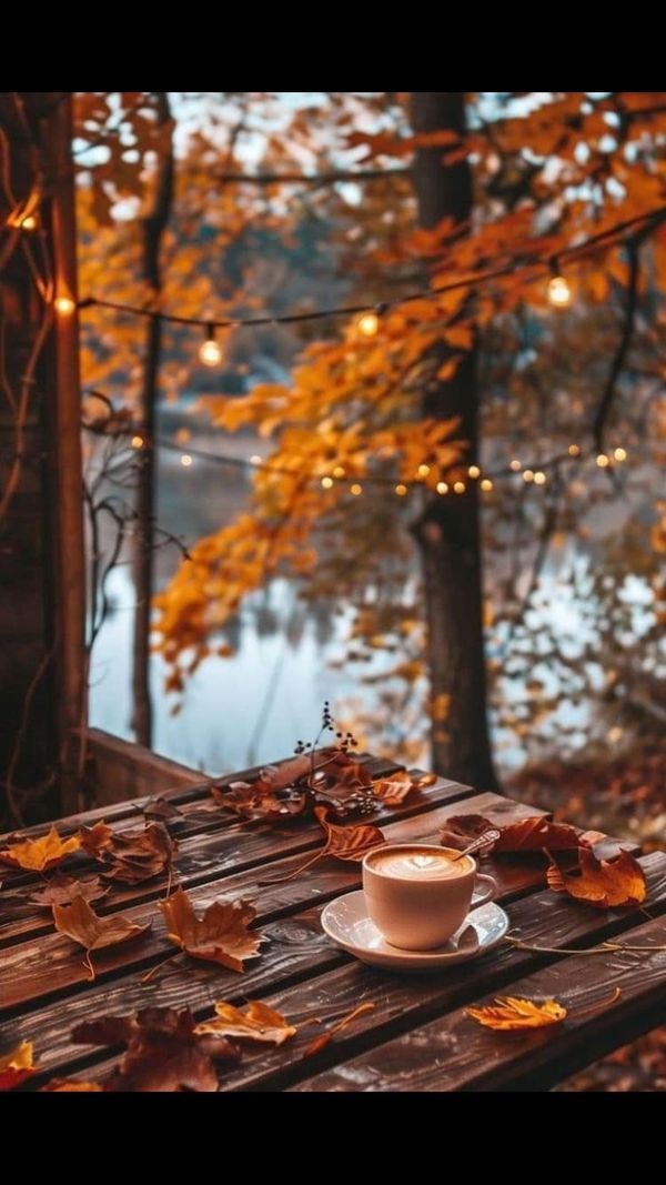 All things Autumn and Winter Time for evening coffee 🍂🍁🫶🏻care to join me🍂🍁🫶🏻 Facebook