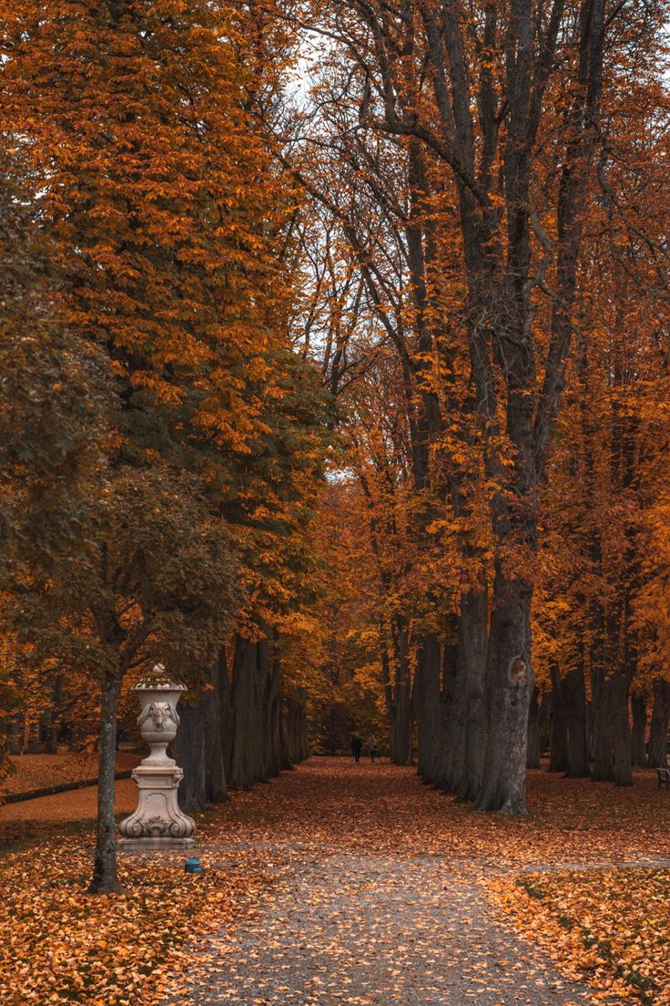 Bunter Herbstwald im Munsterland