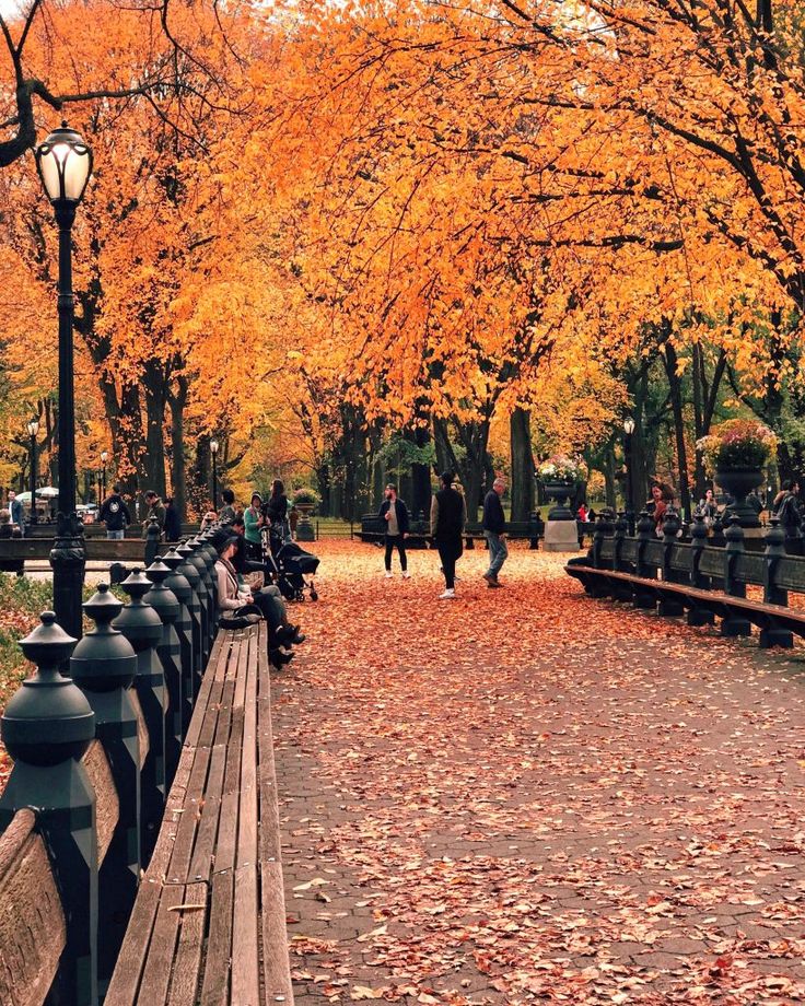 NYC Fall Photo Guide New York Fall Bucket List Through Kelseys Lens