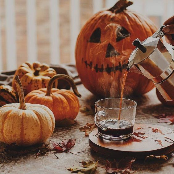 Six Things That Feel like Fall Hint None Of Them Are Pumpkin Spice