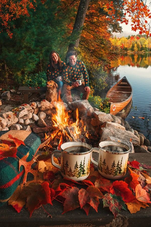 The Big Cozy Fall Leaf Sweater