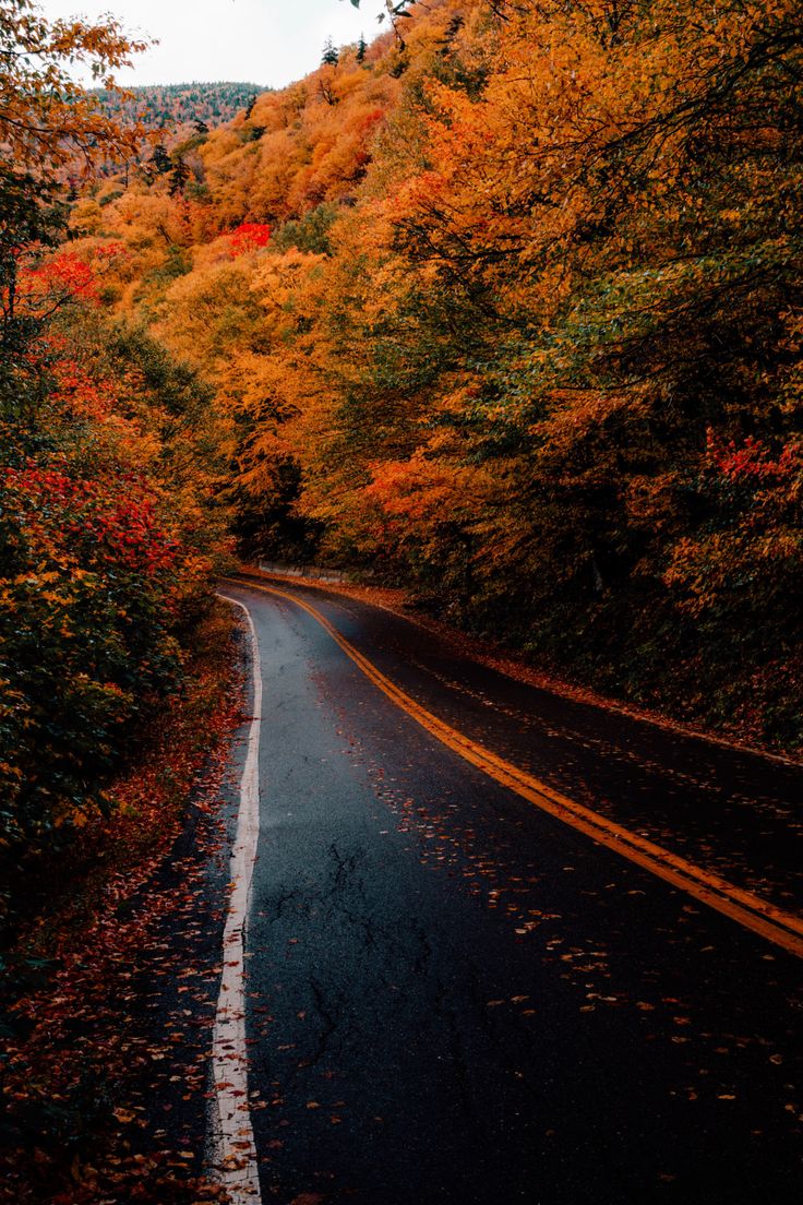 The Perfect New England Fall Road Trip Itinerary for Leaf Peeping