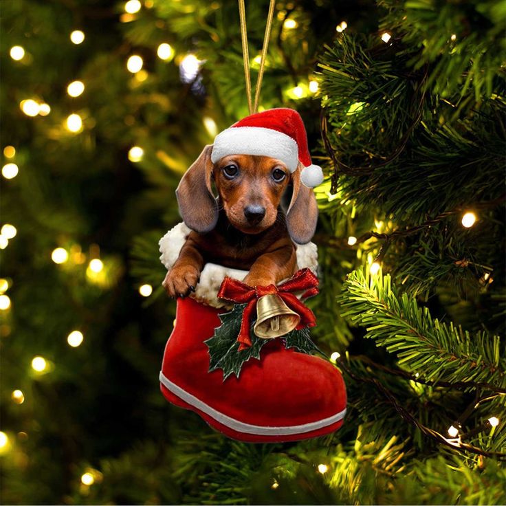 Festive Holiday Pet Inspiration photo Ideas with a litte Christmas flare 11