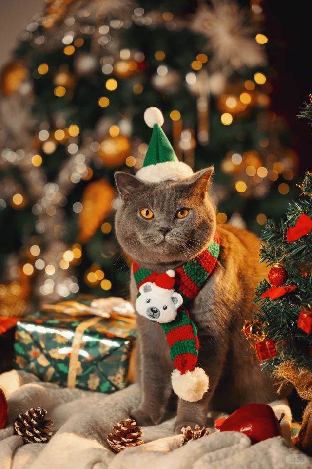 Festive Holiday Pet Inspiration photo Ideas with a litte Christmas flare 4